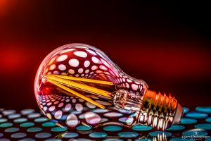 Studio-bulb-Nov2024