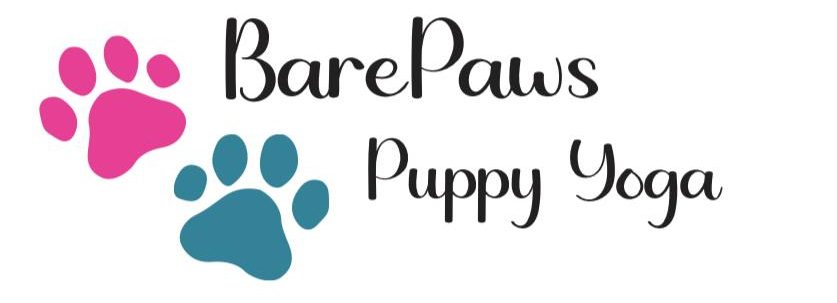 BarePaws Yoga – Puppy yoga