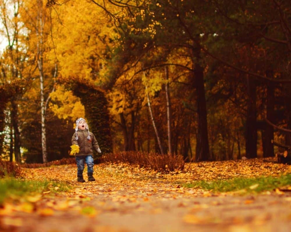 Barn går i skogen om høsten