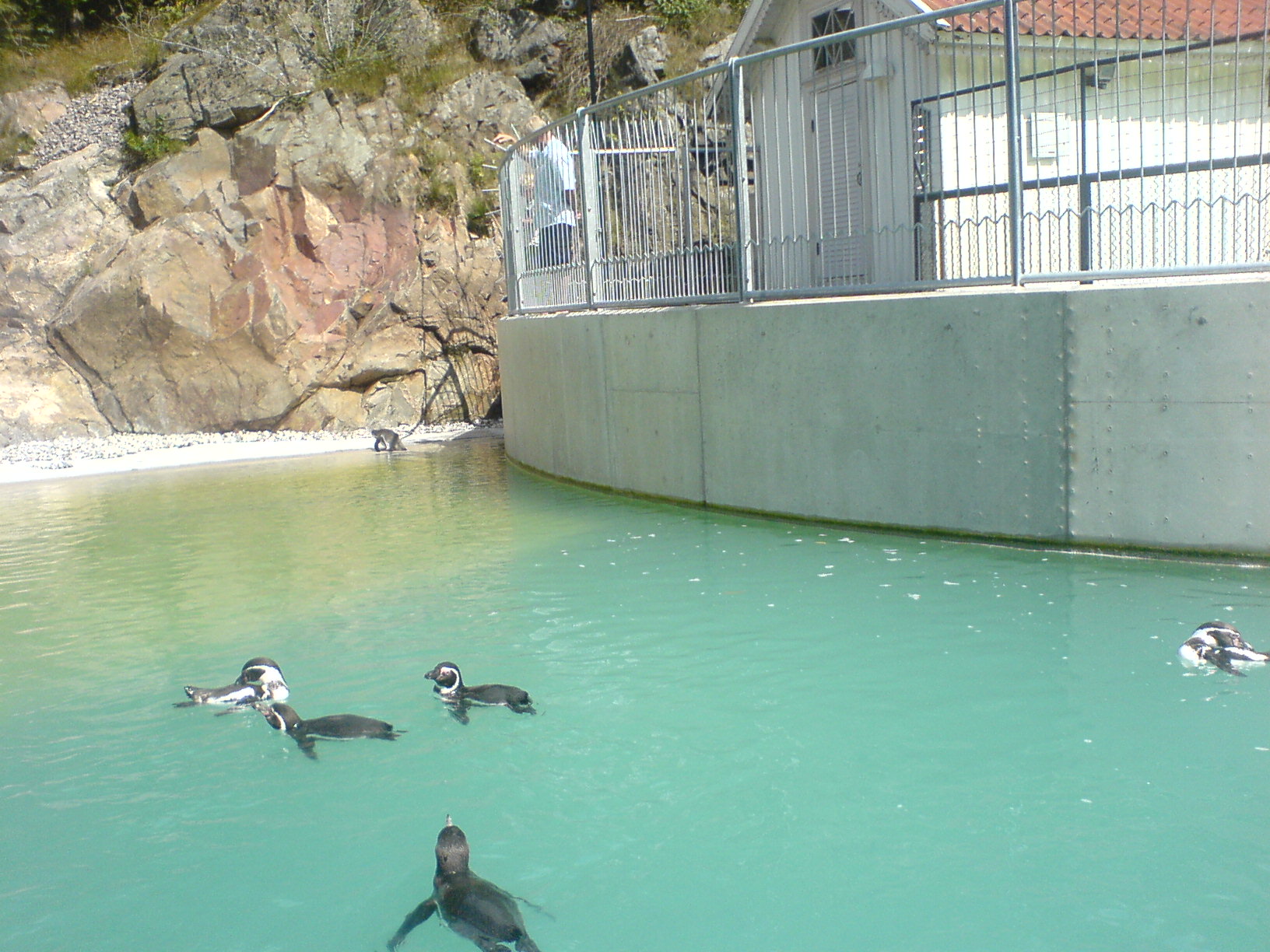 barnens zoo göteborg