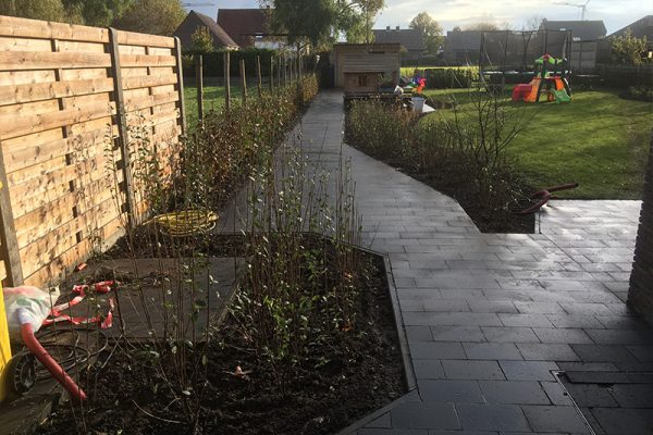 Strakke wolken voorzien met weelderige siergrassen te Rijkevorsel