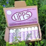 Lipps Mjuk Ekologiskt Läppcerat