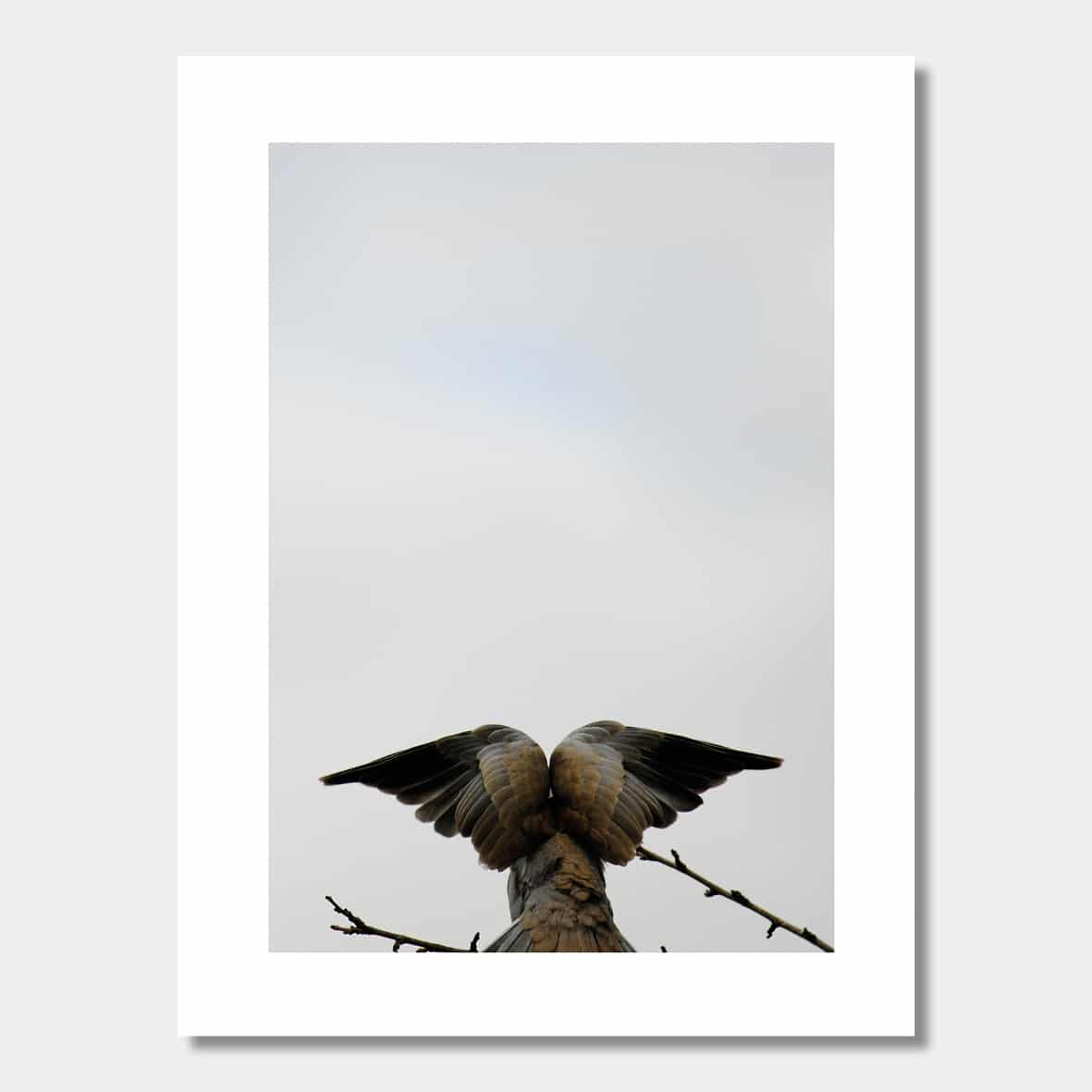 Poster Ängladuva