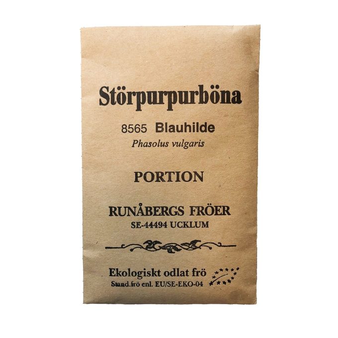 Störpurpurböna 'Blauhilde' EKO