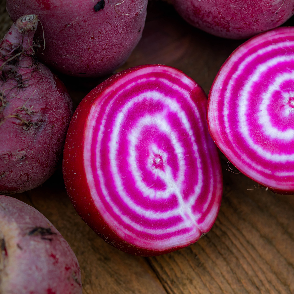 Polkabeta 'Chioggia' EKO - Bild 2