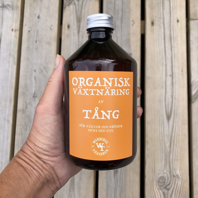 Växtnäring av tång