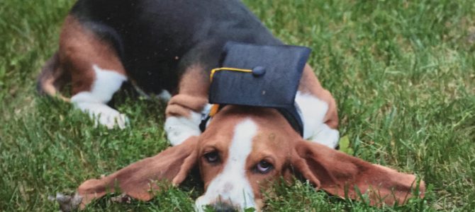 Hank isn’t sure about his hat