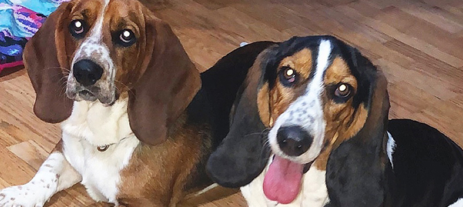 Bassy and Bo Duke! Bassy and Bo Duke!