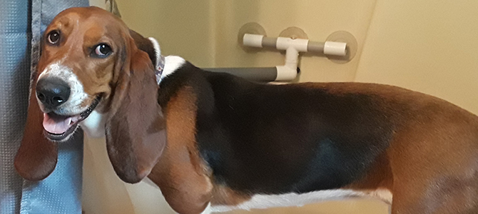 Zoey Zoey