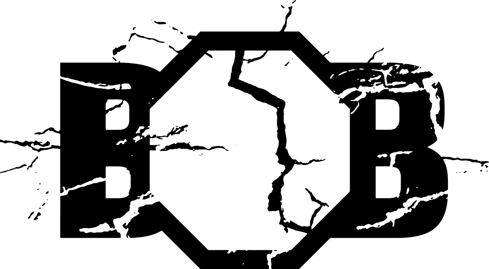 Battle Of Botnia