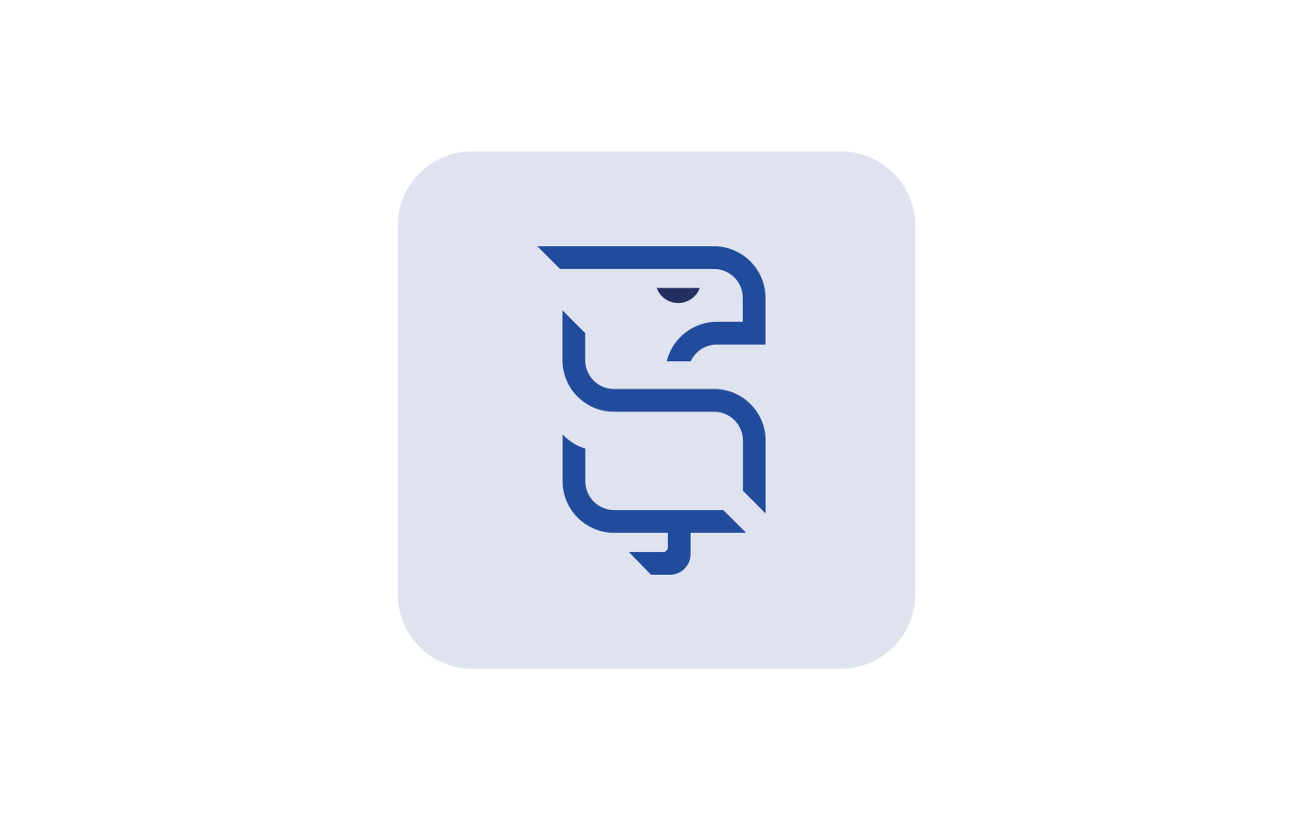 Logo Case Study - Sahin