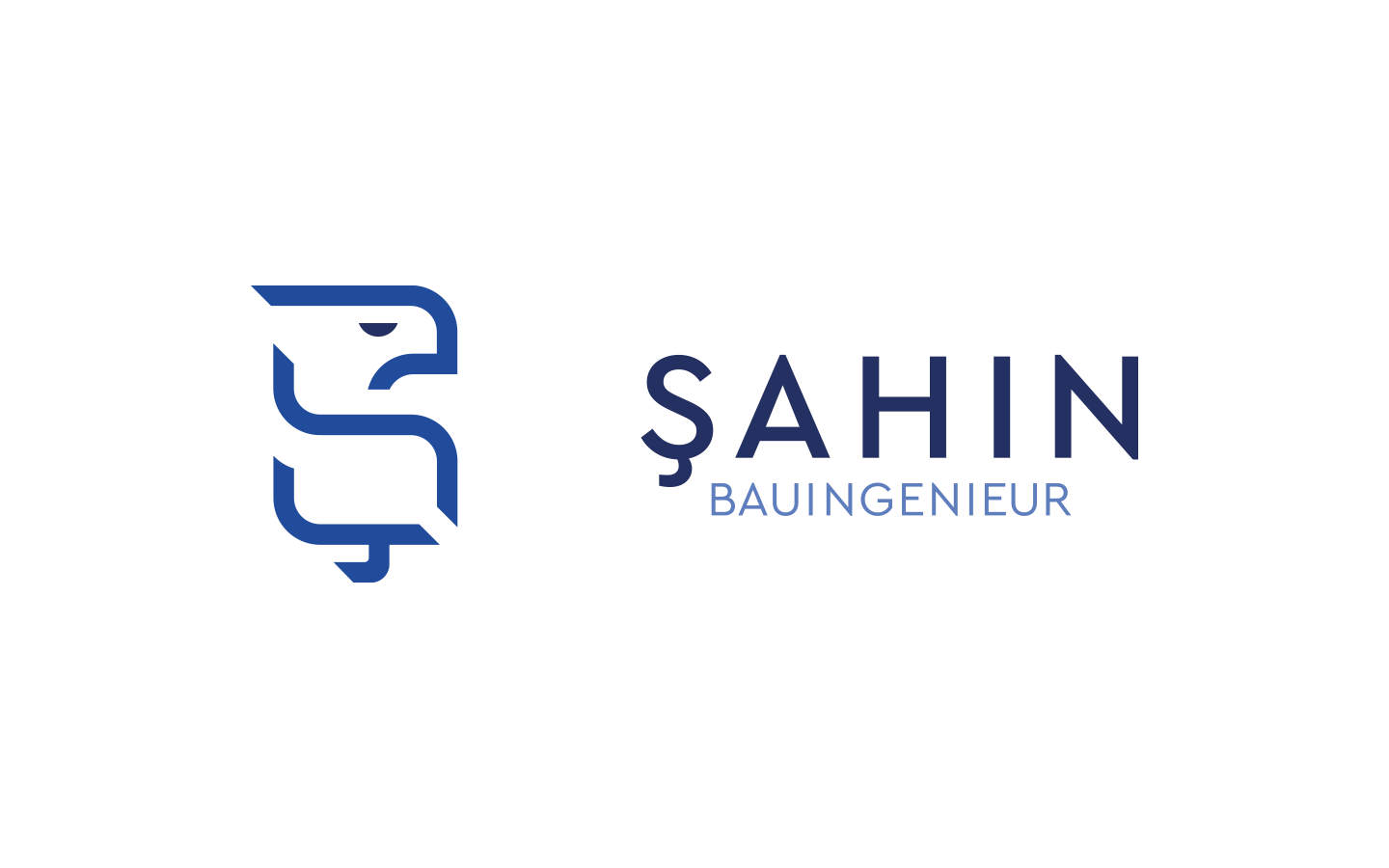 Logo Case Study - Sahin