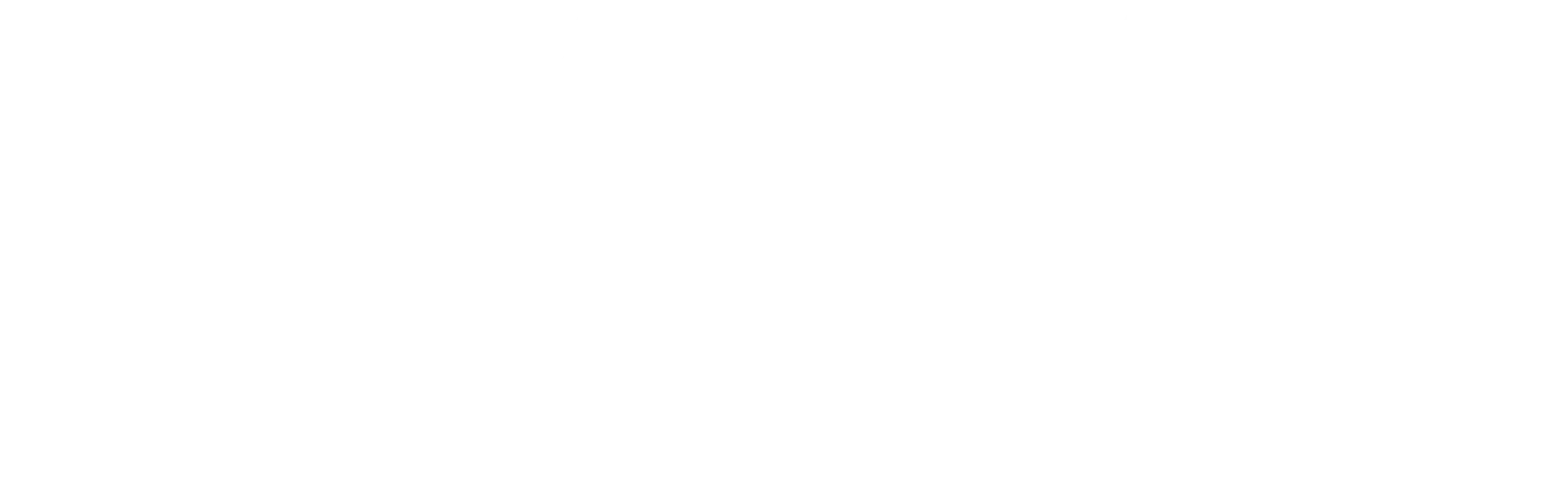 Bayinco