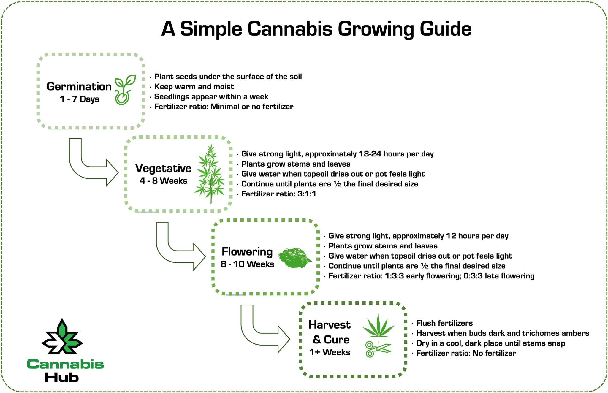 Eenvoudige Cannabis Groei Gids