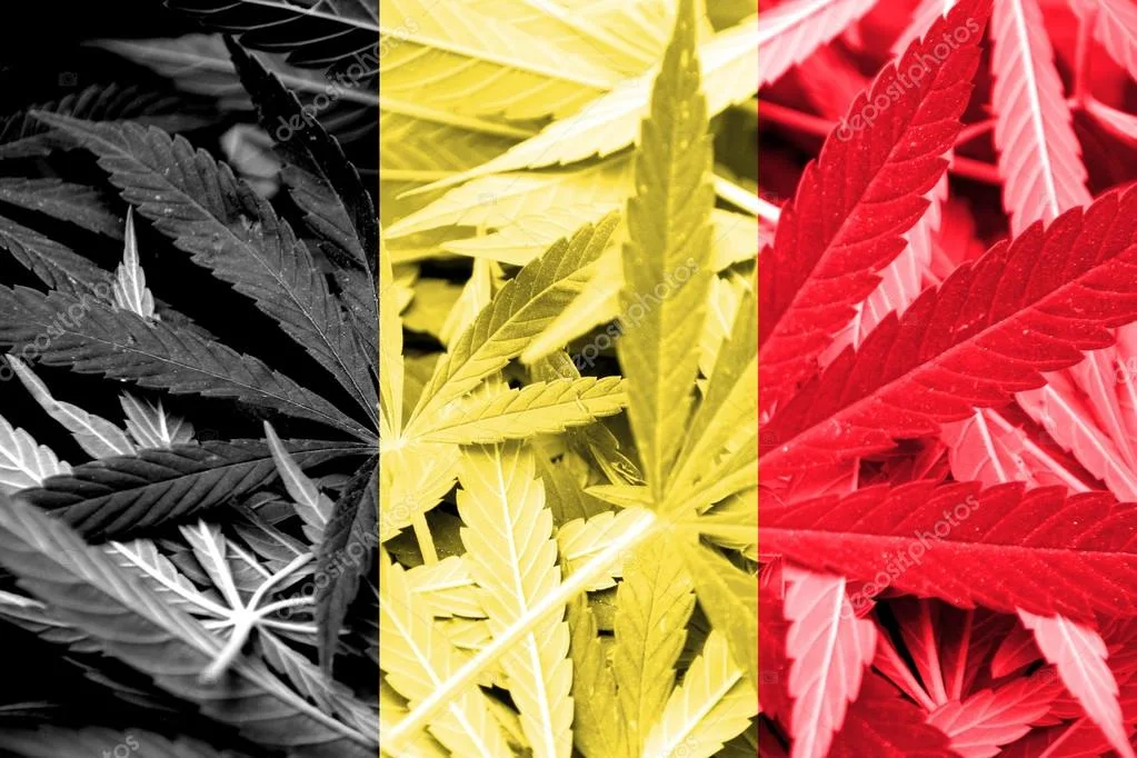 De dialoog over de legalisering van cannabis in België aanwakkeren