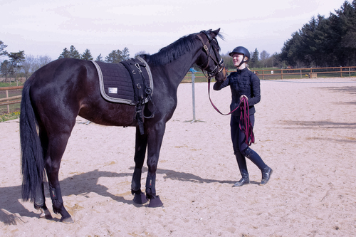 Når Annika arbejder med tilridning, er der fokus på at skabe et tillidsfuldt bånd mellem hest og rytter.