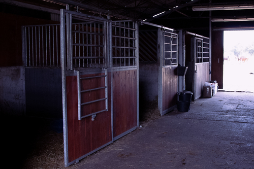 Faciliteter til heste: Tre bokse til venstre i stalden på Krogagervej 25.