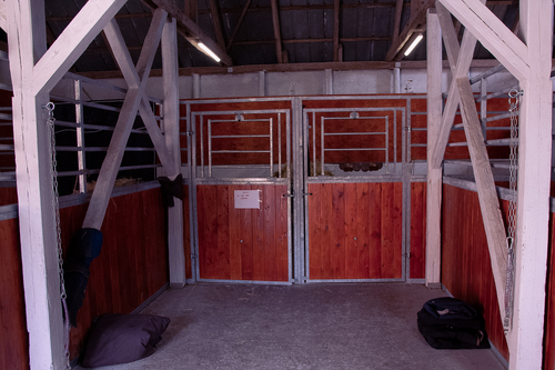 Faciliteter til heste: De nyeste staldbokse på Krogagervej 23.