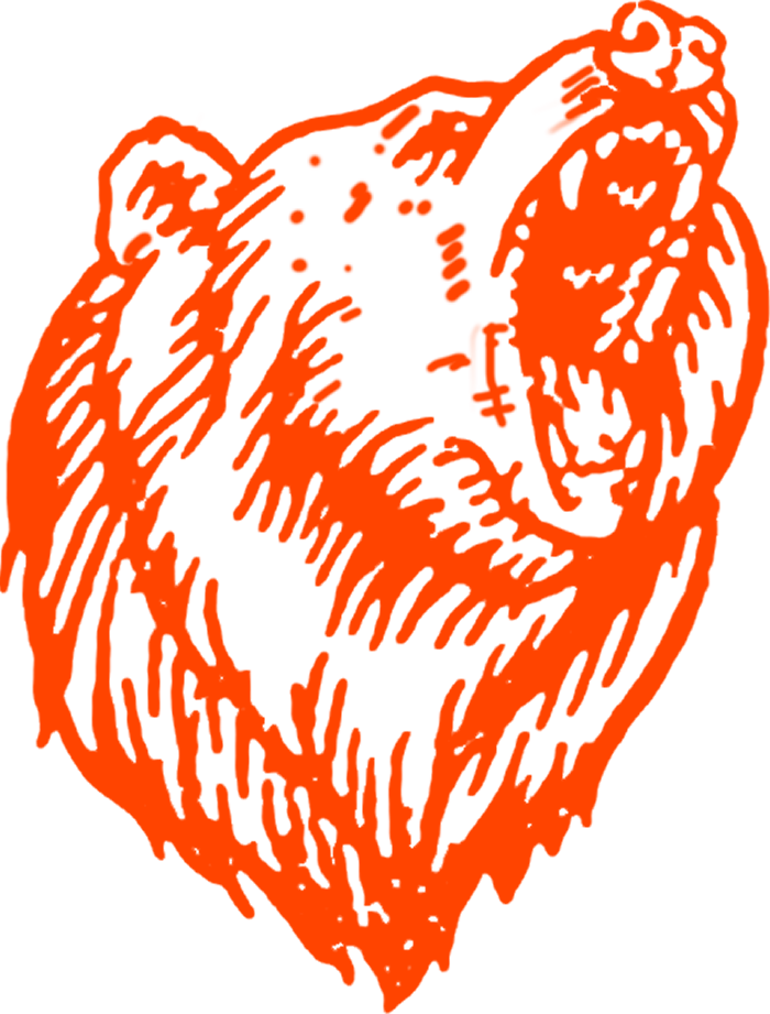 logo bear marketing_rood