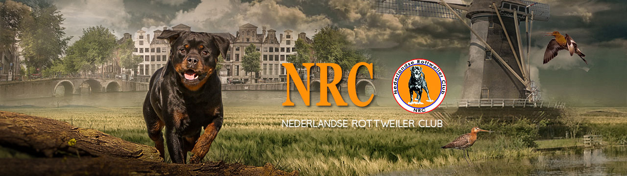 Header NRC