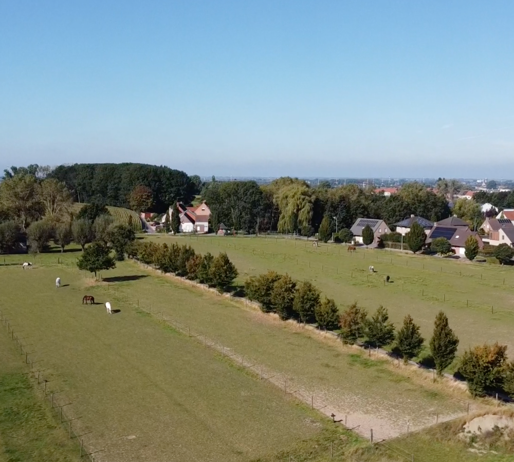 Beaulieu hof ruime weides voor de paarden lauwe