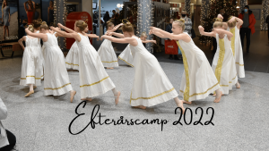 Read more about the article Efterårscamp 2022