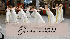 Read more about the article Efterårscamp 2022