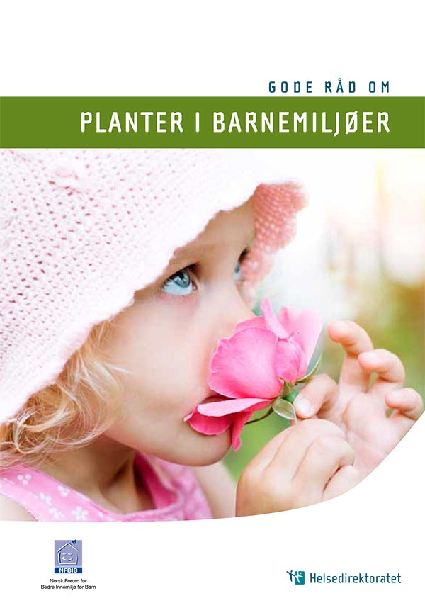 P Gode Rad Om Planter I Barnemiljoer 1