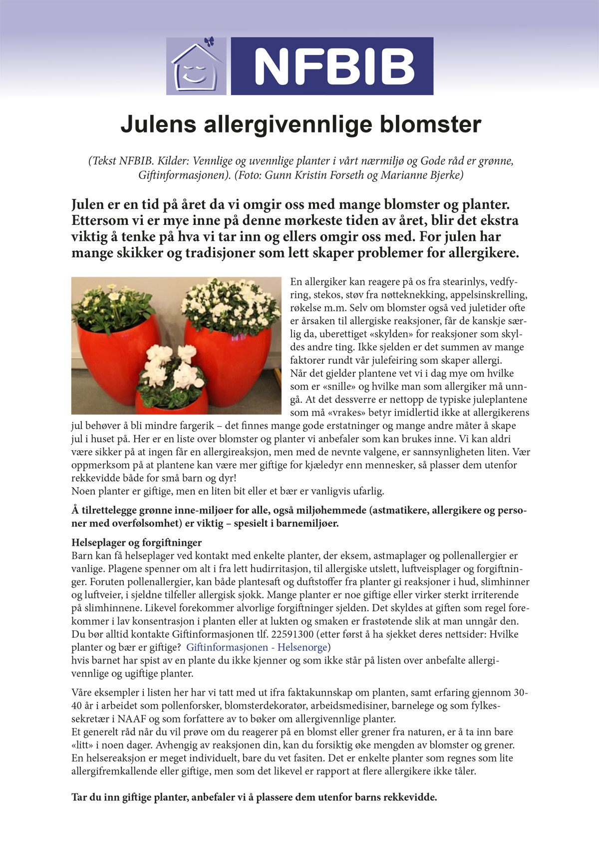 Julens Allergivennlige Blomster 2811 3 1