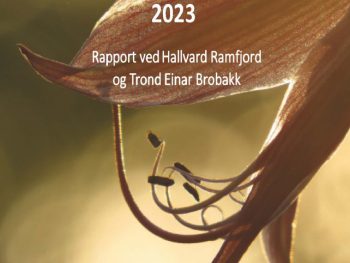 Årsrapport For Pollen 2023 2