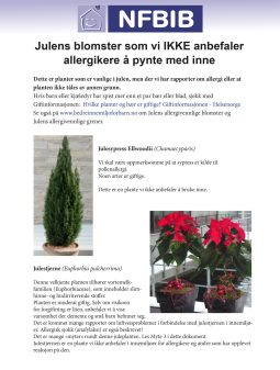 Planter Vi Ikke Anbefaler Inne 2811 3 1