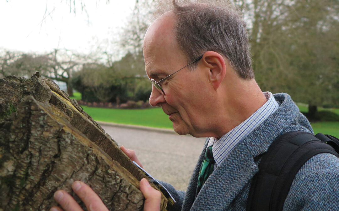 The astonishing behavioural versatility of nest-site scouts