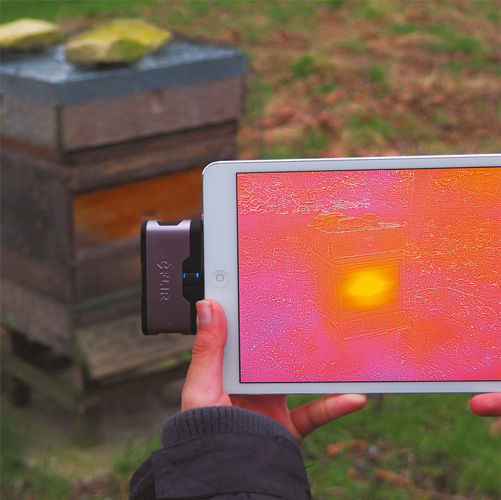 beecraft-Insulation-3 Tasmanian leatherwood honey - From Field and Flower