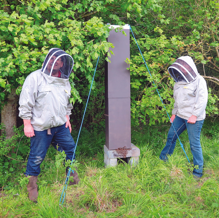 beecraft-Insulation-5 Tasmanian leatherwood honey - From Field and Flower