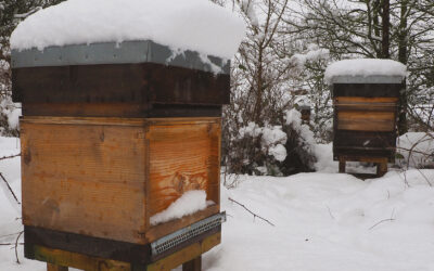 Insulation, insulation, insulation