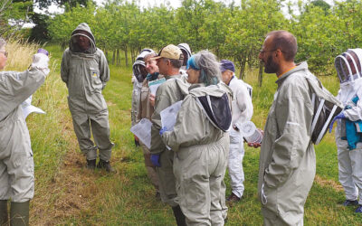 Techniques in the apiary: Varroa-monitoring methods