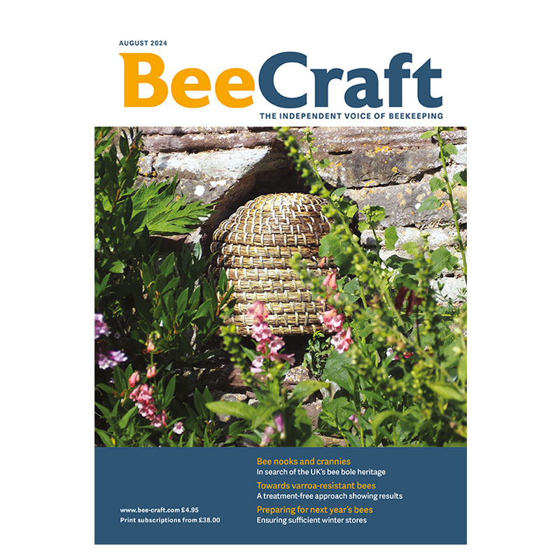 Back Issue – August 2024