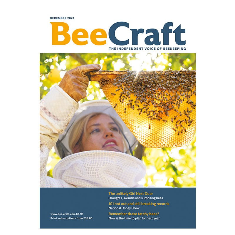 Back Issue – December 2024