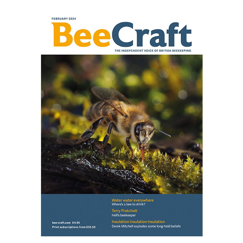 Back Issue – February 2024