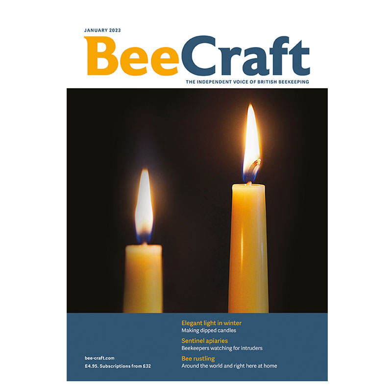 Back Issue – January 2023