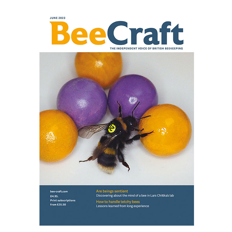 Back Issue – June 2023