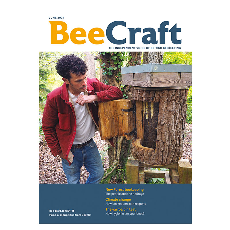 Back Issue – June 2024