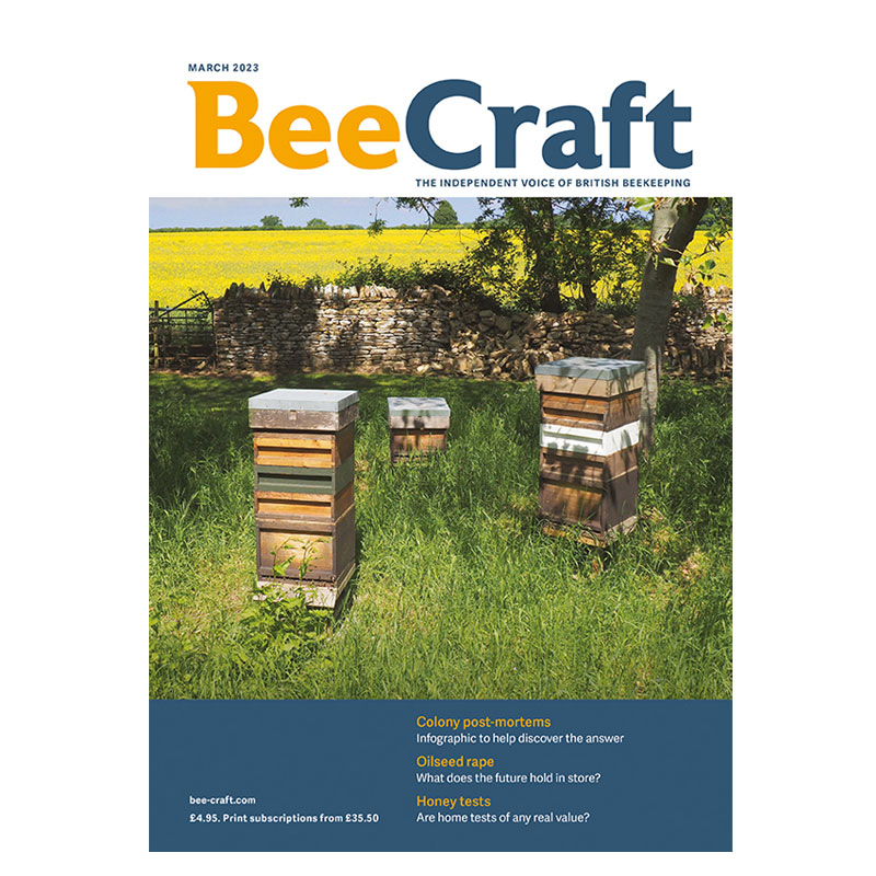 Back Issue – March 2023