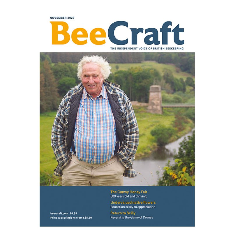 Back Issue – November 2023