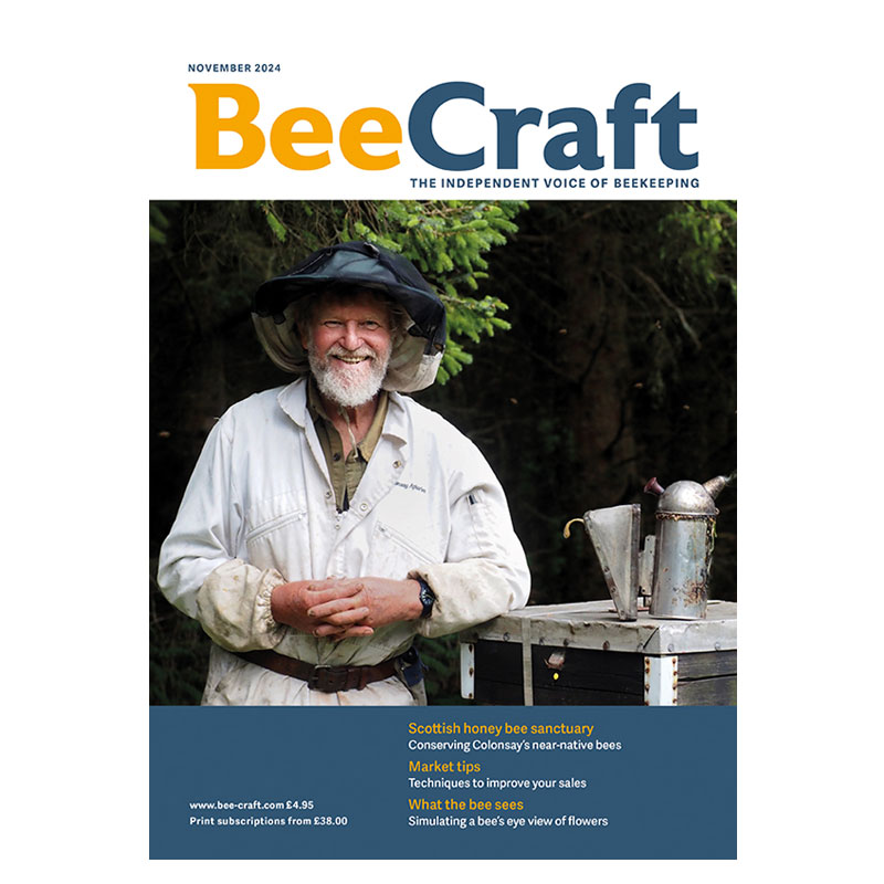 Back Issue – November 2024