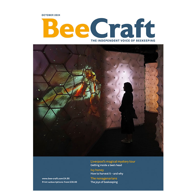 Back Issue – October 2024