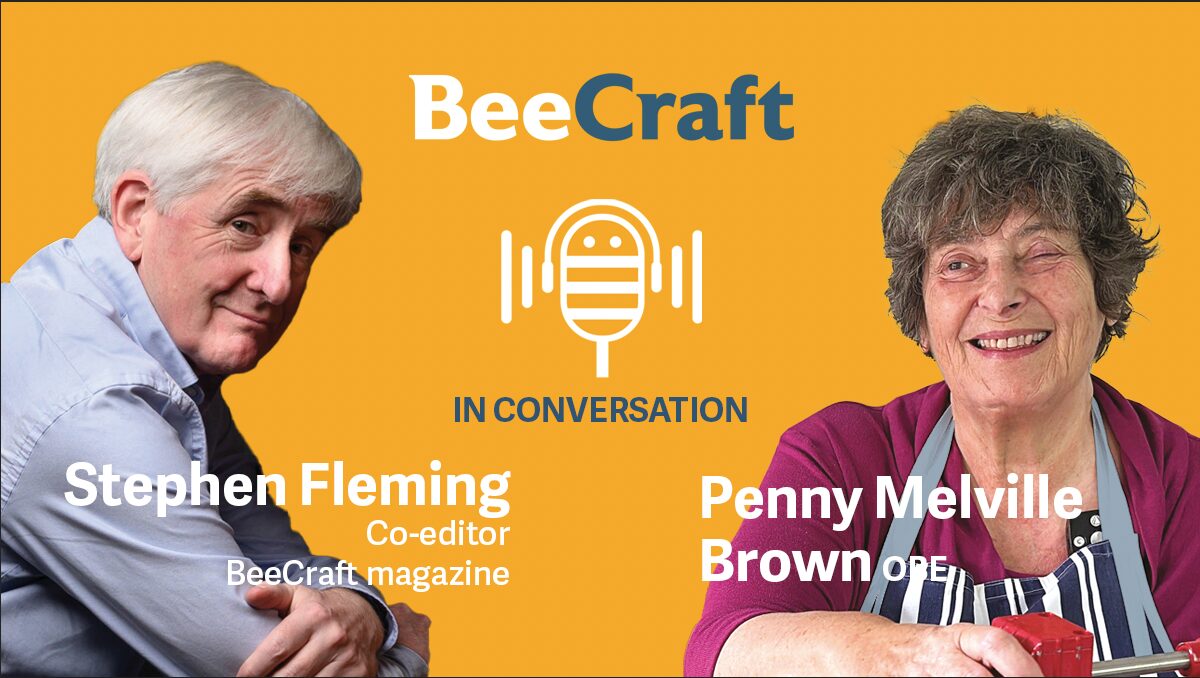 BeeCraft-podcast-episode-1