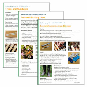 Apiary Essentials Beginners Guide