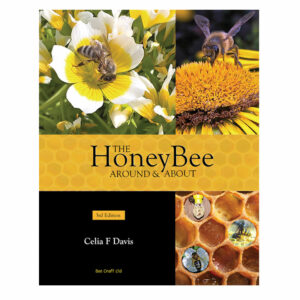 The Honey Bee Around and About