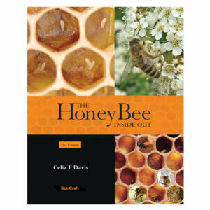 The Honey Bee Inside Out